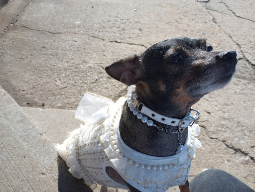 College Green Park 20250727 044659 004