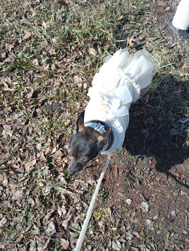 College Green Park 20250727 044700 005