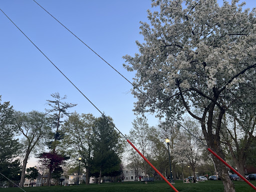 College Green Park 20250727 044701 007