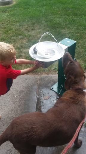 College Green Park 20250727 044705 011