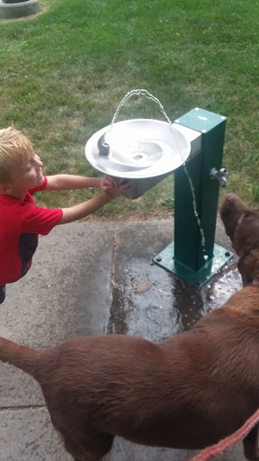 College Green Park 20250727 044705 012