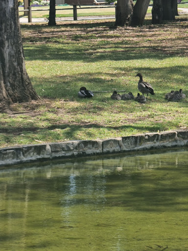 Collins Reserve Playground 20250824 015939 017