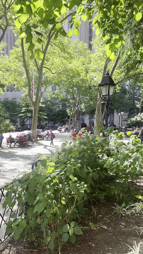 Columbus Park 20250727 035932 005