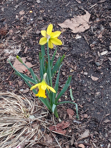 Columbus Park 20250727 035938 012