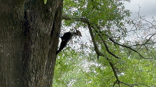 Community Playground 20250726 173410 010