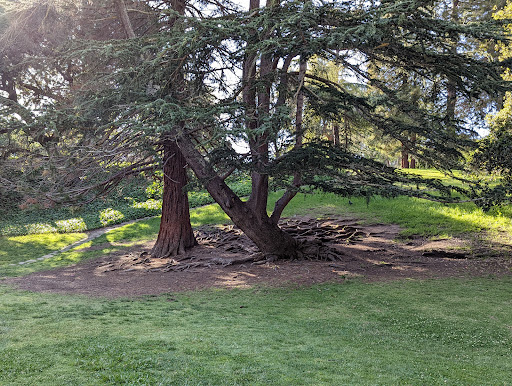 Concrete Slide 20250727 110850 013