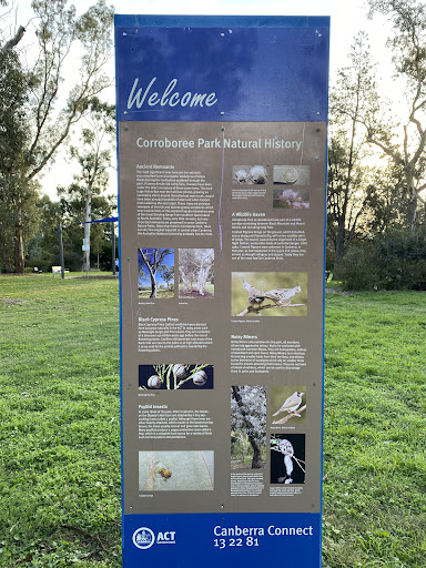Corroboree Park Playground 20250824 002301 009