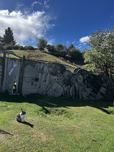 Country Lane Retail Village 20250818 172656 009