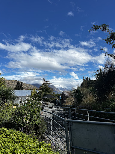 Country Lane Retail Village 20250818 172657 010