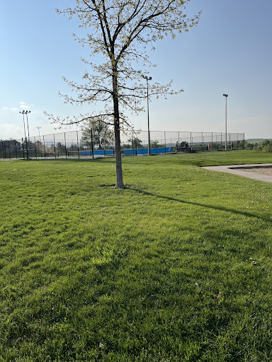 Countryside park 20250727 110929 003