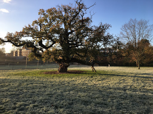 Cowick Barton Playing Fields 20250808 202414 007