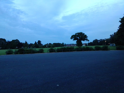 Cowick Barton Playing Fields 20250808 202415 009