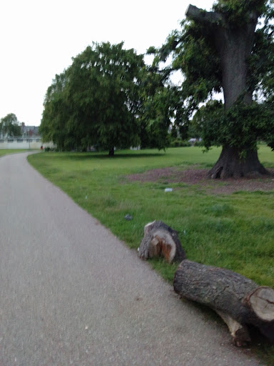 Cowick Barton Playing Fields 20250808 202416 010