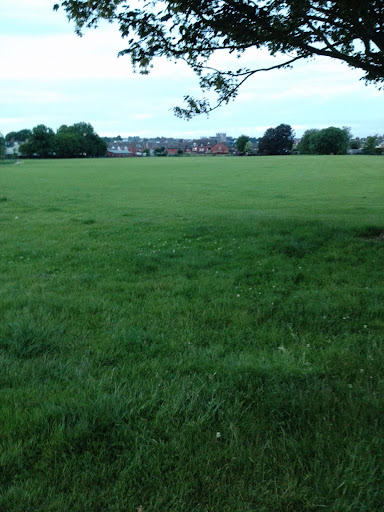 Cowick Barton Playing Fields 20250808 202417 011