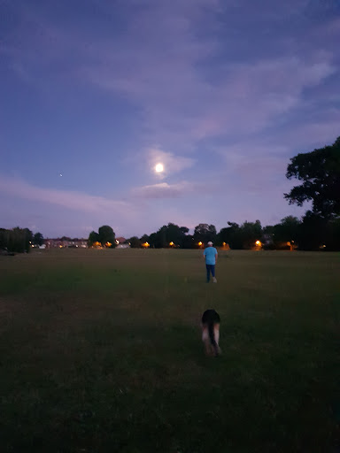 Cowick Barton Playing Fields 20250808 202419 014