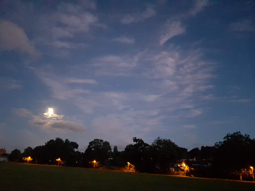 Cowick Barton Playing Fields 20250808 202420 015