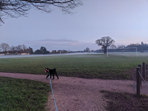 Cowick Barton Playing Fields 20250808 202424 020