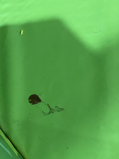 Crocs Playcentre Cannington 20250824 020519 008