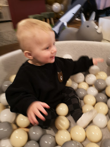 Crumb Play 20250808 161823 003