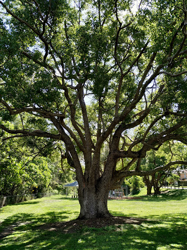 Cubberla Creek Reserve East Playground 20250824 023626 009