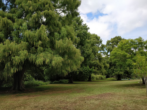 Cubberla Creek Reserve East Playground 20250824 023632 017