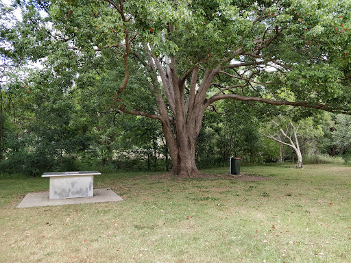 Cubberla Creek Reserve East Playground 20250824 023634 020