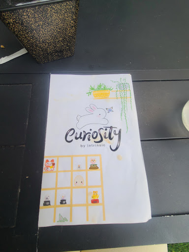 Curiosity by Nest Indoor Playground 20250727 130311 012