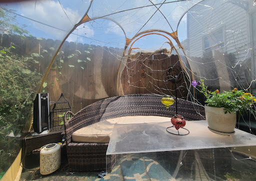 Curiosity by Nest Indoor Playground 20250727 130313 015