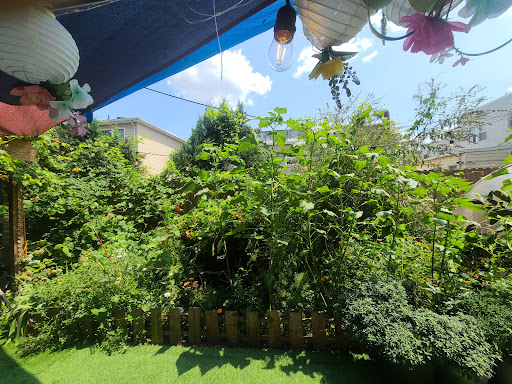 Curiosity by Nest Indoor Playground 20250727 130314 016