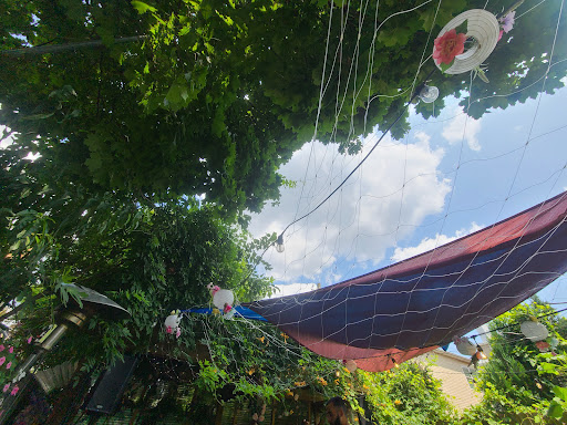 Curiosity by Nest Indoor Playground 20250727 130315 017