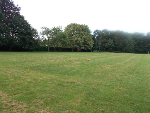 Curlew Playground 20250808 172926 001