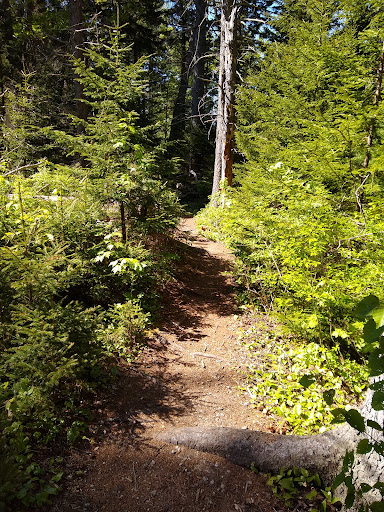 Curtis Farm Preserve 20250727 074051 002