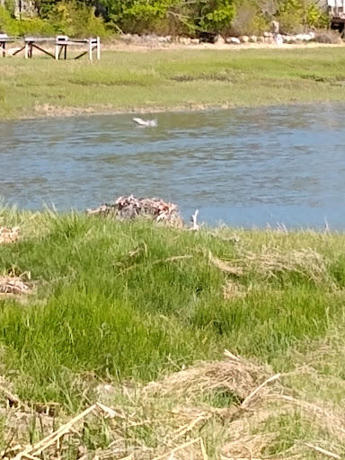 Curtis Farm Preserve 20250727 074054 006