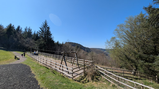 Cwmcarn Drive Children s Park 20250808 185537 006