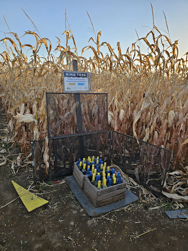 DENN 20250727 080740 003