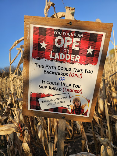 DENN 20250727 080740 004