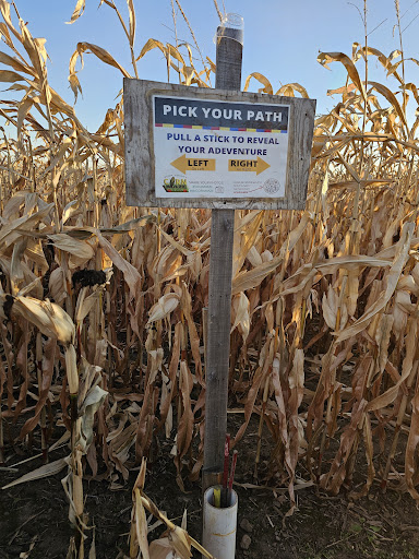 DENN 20250727 080741 005