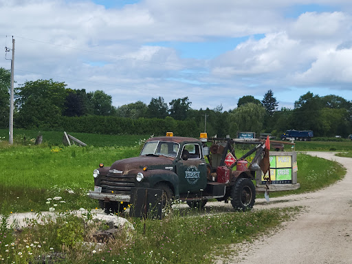 DENN 20250727 080748 013