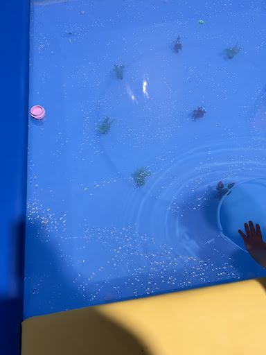 D R PLAYLAND 20250727 050445 018