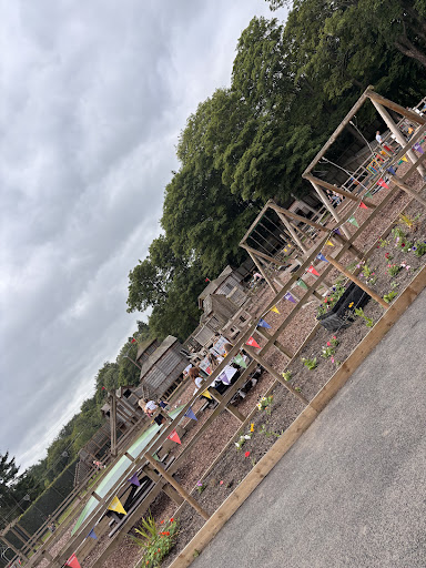 Dalkeith Country Park 20250808 151517 006