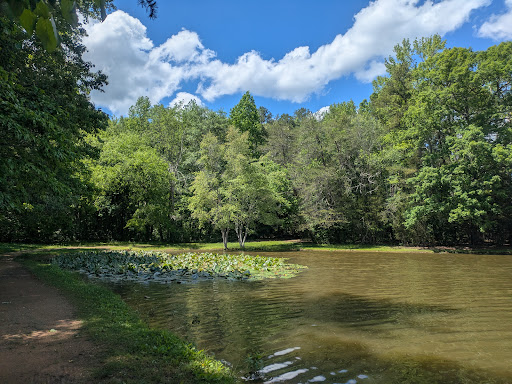 Dan Nicholas Park 20250726 222951 016