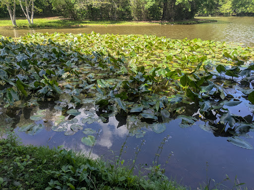 Dan Nicholas Park 20250726 222952 017