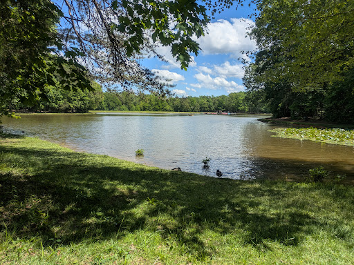 Dan Nicholas Park 20250726 222953 018