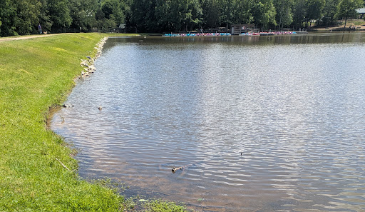 Dan Nicholas Park 20250726 222955 020