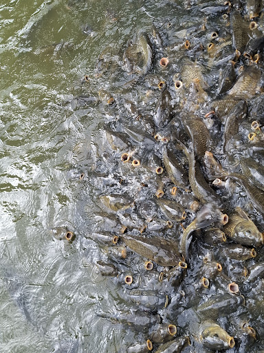 Discovery Land at Priory Farm 20250808 194733 001