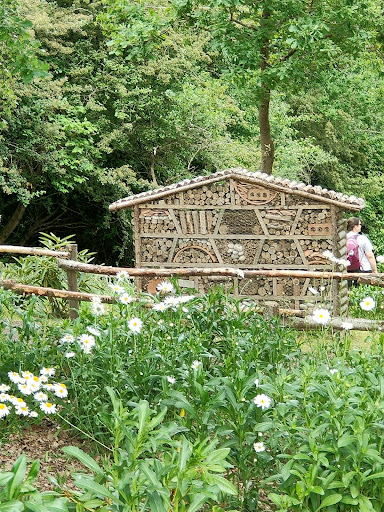 Discovery Land at Priory Farm 20250808 194735 004