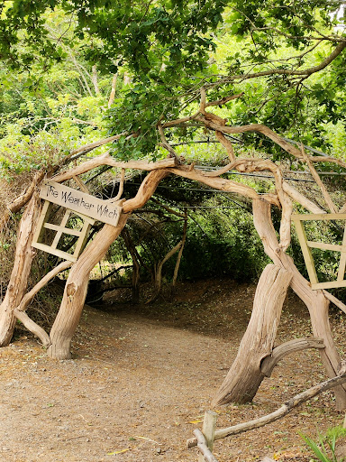 Discovery Land at Priory Farm 20250808 194736 005