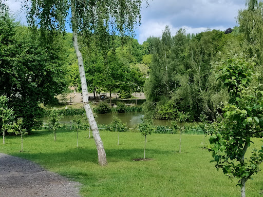 Discovery Land at Priory Farm 20250808 194741 011