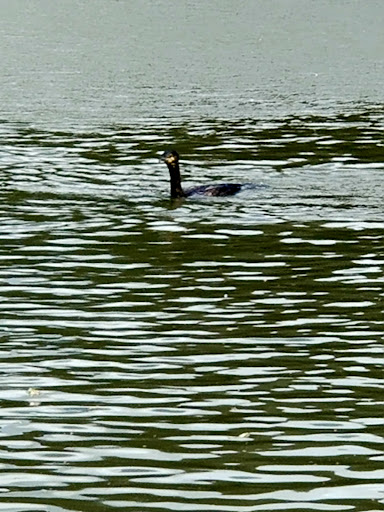 Discovery Land at Priory Farm 20250808 194745 015