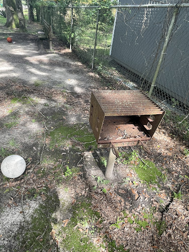 Dixon Park Playground 20250726 185640 007